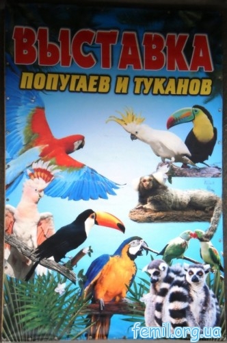 Вывеска выставки попугаев и туканов