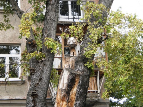Деревянный кот