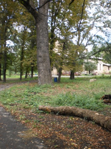 "Незаметные" урны в Селезневском парке