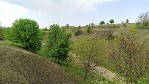 Старая дорога на Павловку, Светловодский район