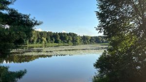 Турбаза Купава, місто Світловодськ