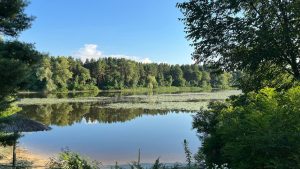 Турбаза Купава, місто Світловодськ