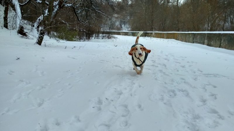 Первый день зимы. Фото дня