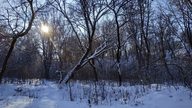 Любимых книг пост