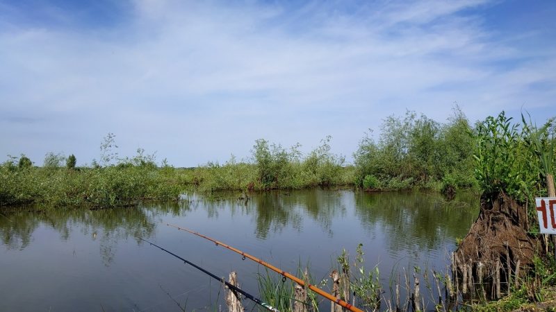 Рыбалка на платном водоеме: первый опыт